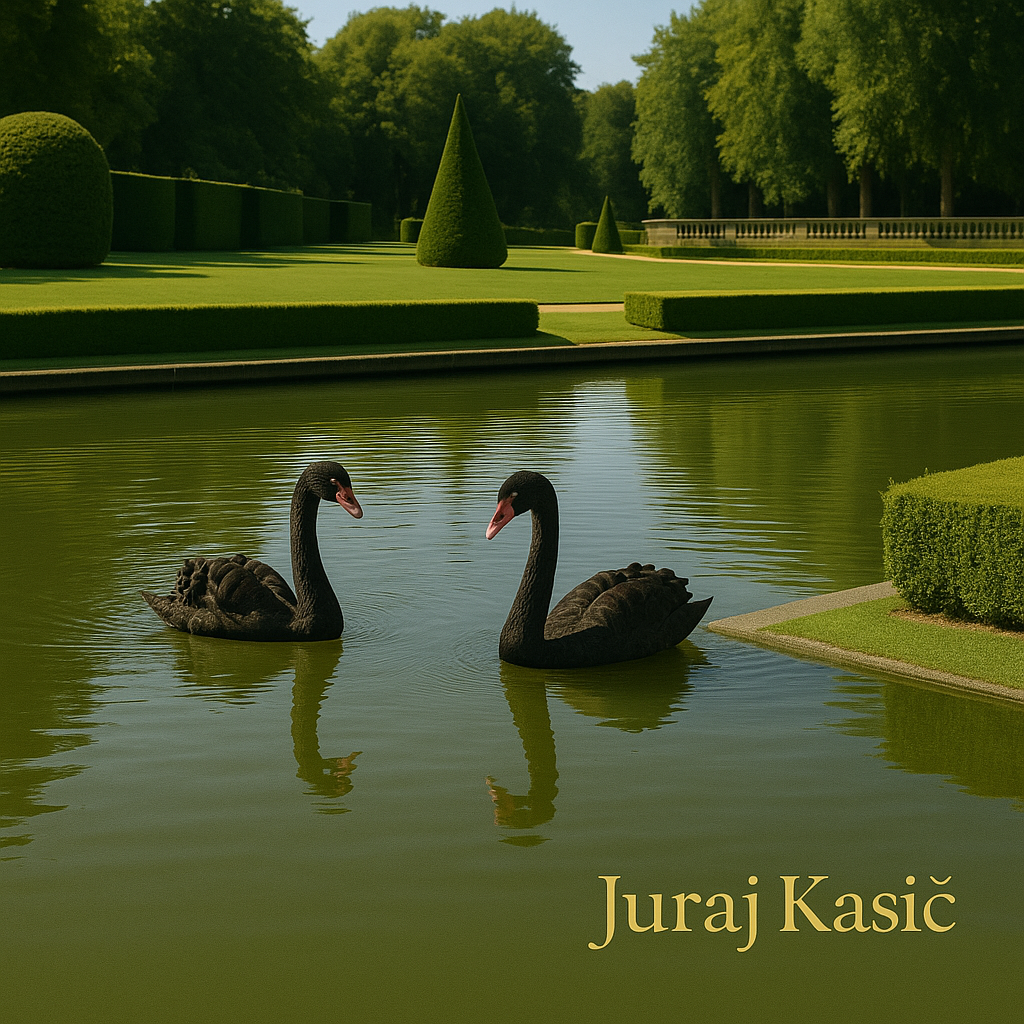 Cover art of the single “Black Swans” by Juraj Kasič